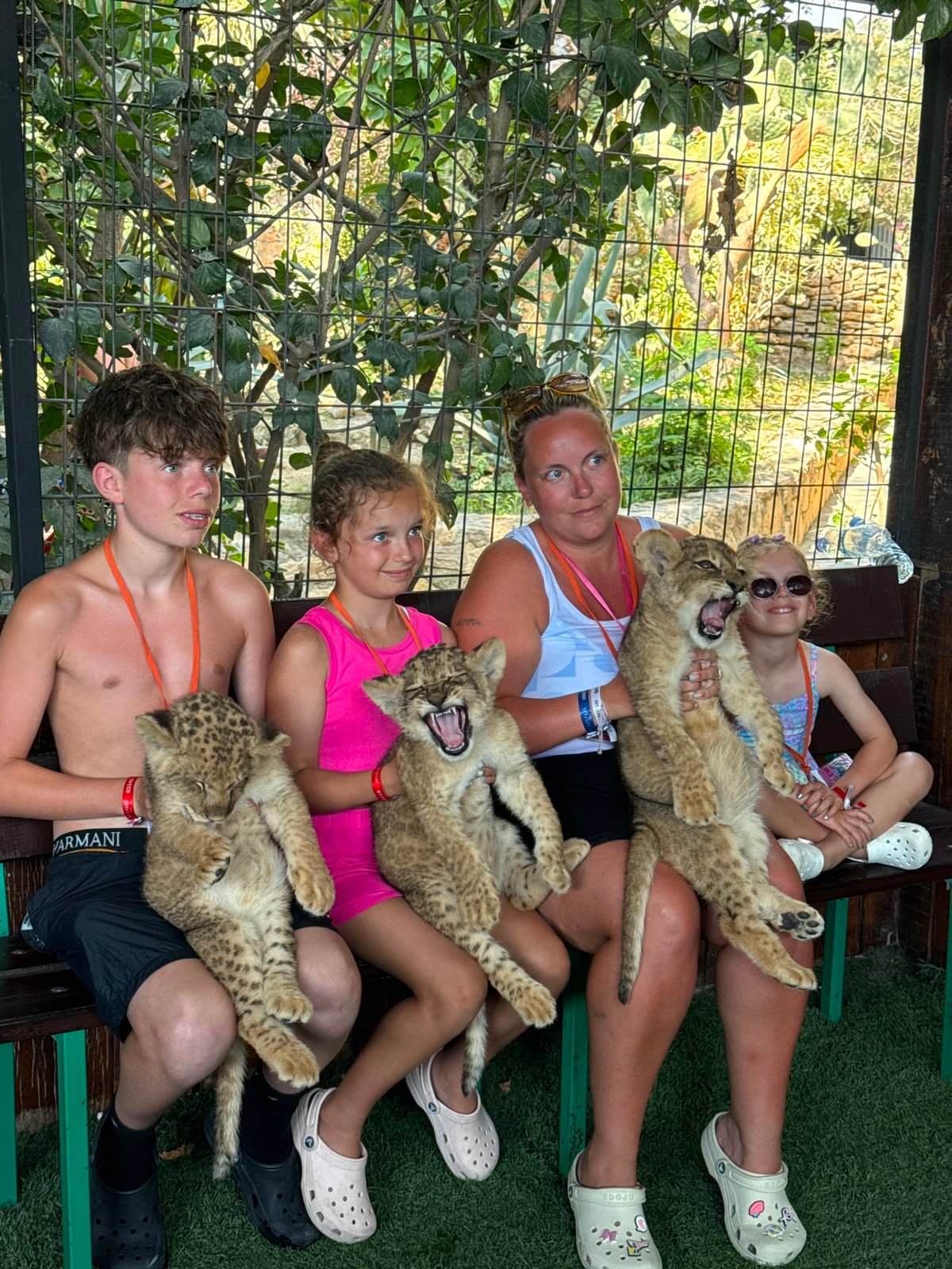 Aslan Safari 4