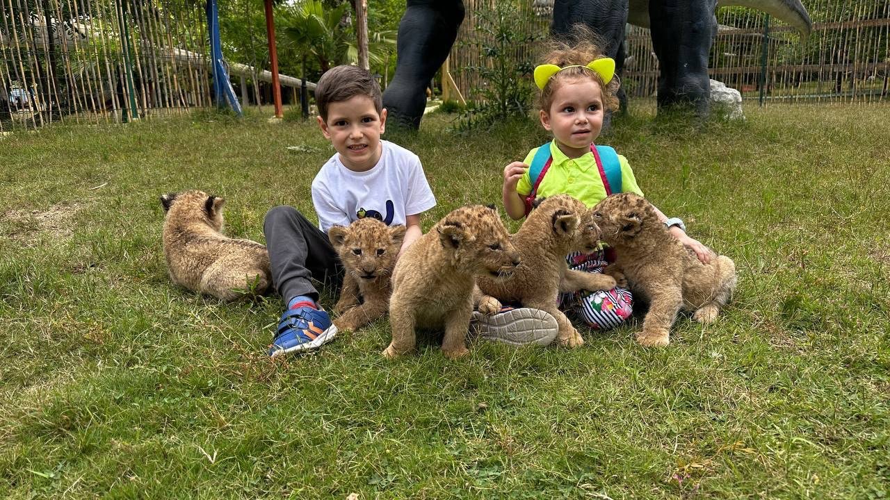 Kil ve Aslan 3